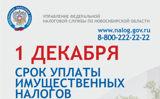 Не позднее 1 декабря нужно уплатить имущественные налоги
